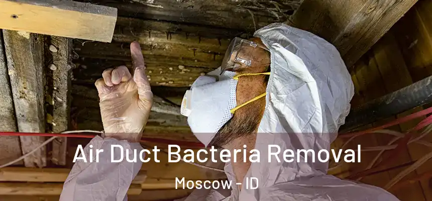Air Duct Bacteria Removal Moscow - ID