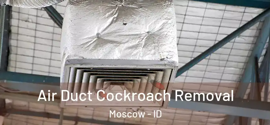  Air Duct Cockroach Removal Moscow - ID