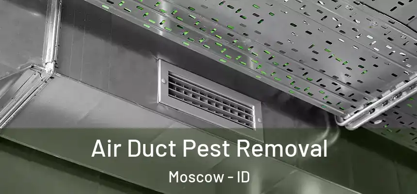  Air Duct Pest Removal Moscow - ID
