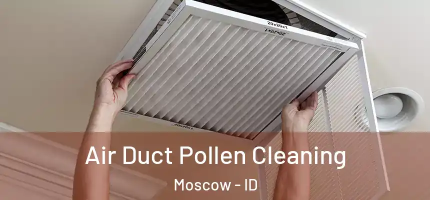  Air Duct Pollen Cleaning Moscow - ID
