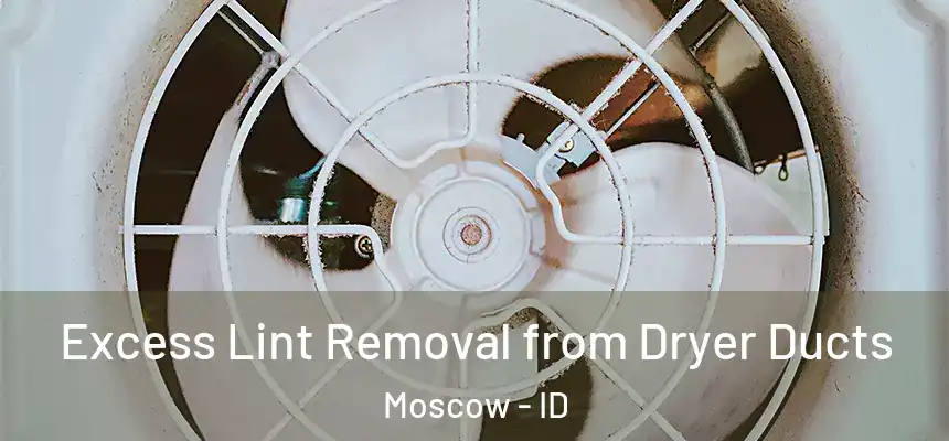  Excess Lint Removal from Dryer Ducts Moscow - ID