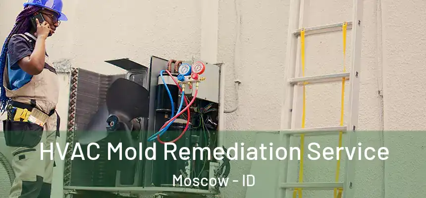  HVAC Mold Remediation Service Moscow - ID