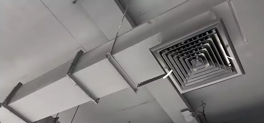 Our Rodent Droppings In Vents Services in Moscow, ID