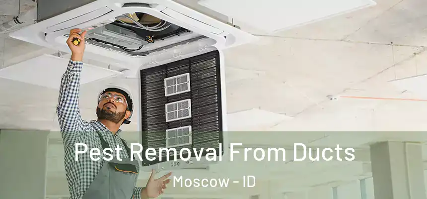  Pest Removal From Ducts Moscow - ID