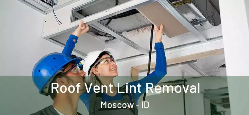 Roof Vent Lint Removal Moscow - ID