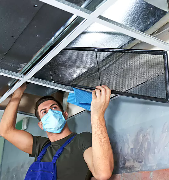 Professional Air Duct Pollen Cleaning in Moscow, ID