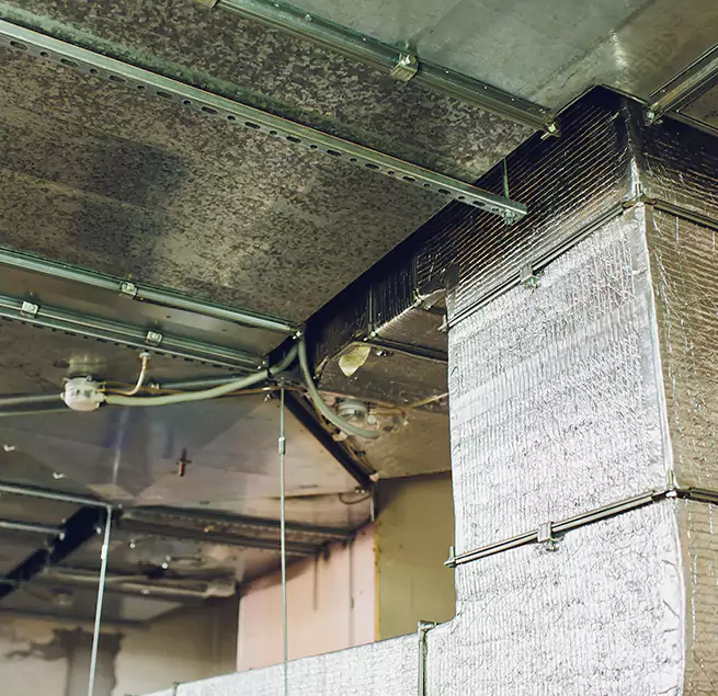 Why Homeowners & Businesses Trust Us in Moscow, ID?